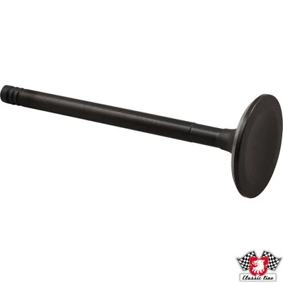 Intake Valve